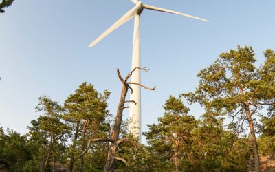 Sähkön varttihinnoittelu: mitä se tarkoittaa kuluttajalle?