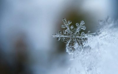 Uudenvuodenaatto oli viime vuoden suurin sähkön kulutuspäivä – kulutushuiput keskittyvät odotetusti talveen