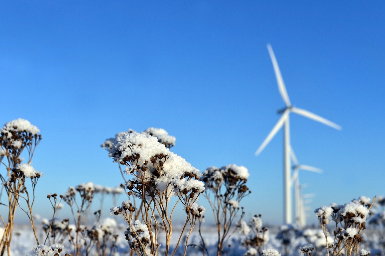 Tuulimyllyjä talvella.