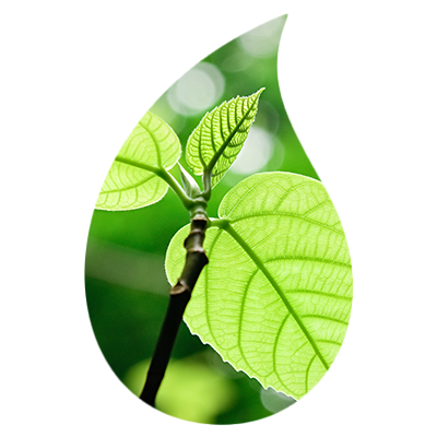 nge_sahkosopimus_leaf_400x400