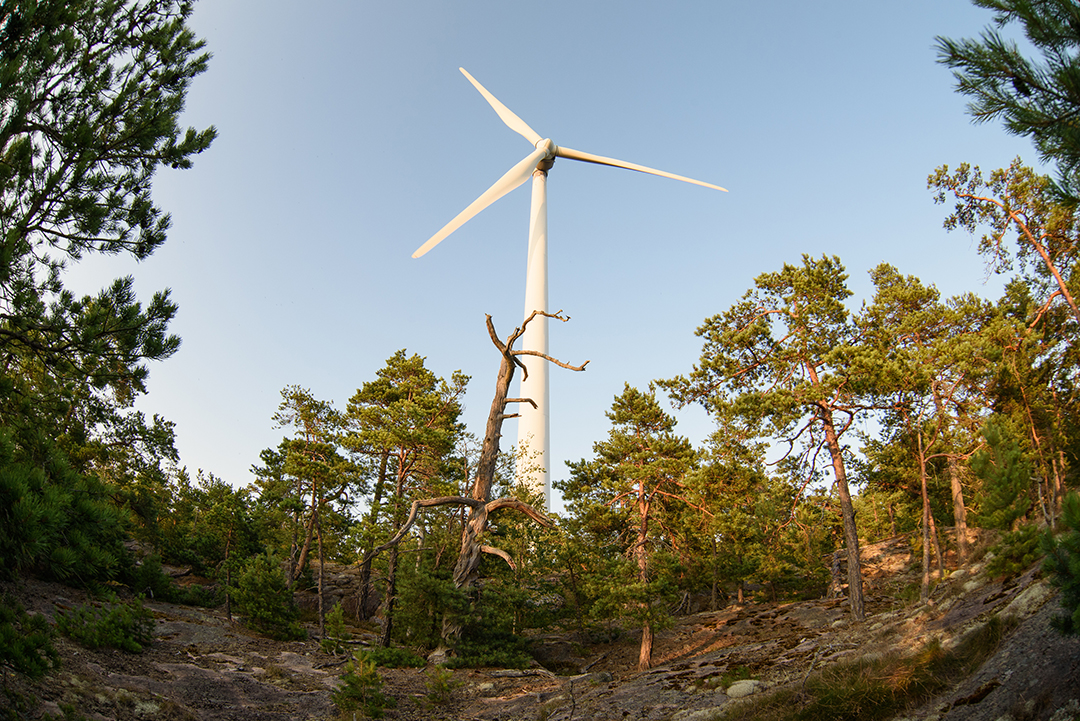 Wind turbine in forest