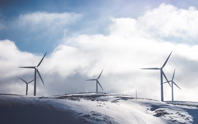 Svenska kraftnät höjer avgifterna från 1 januari 2025