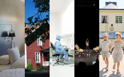 Här är alla nominerade till Årets Elspararföretag